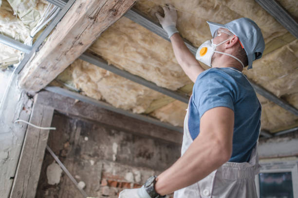 Best Cellulose Insulation in Waihee Waiehu, HI